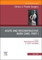 Couverture de l'ouvrage Acute and Reconstructive Burn Care, Part I, An Issue of Clinics in Plastic Surgery