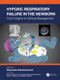Couverture de l'ouvrage Hypoxic Respiratory Failure in the Newborn