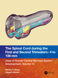 Couverture de l'ouvrage The Spinal Cord during the First and Second Trimesters - 4 to 108 mm