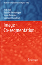 Couverture de l'ouvrage Image Co-segmentation