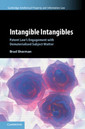 Couverture de l'ouvrage Intangible Intangibles