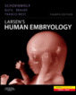 Couverture de l'ouvrage Larsen's human embryology: with student consult (4th Ed).