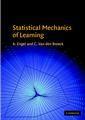 Couverture de l'ouvrage Statistical Mechanics of Learning