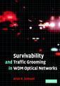Couverture de l'ouvrage Survivability and Traffic Grooming in WDM Optical Networks