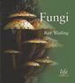 Couverture de l'ouvrage Fungi