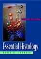 Couverture de l'ouvrage Essential histology, 2° Ed.