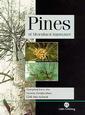 Couverture de l'ouvrage Pines of silvicultural importance