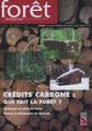 Couverture de l'ouvrage Forêt entreprise n° 168, mai 2006. Crédits carbone : que fait la forêt ? Naissance du Cetef de Corse. Rouille et croissance du peuplier.