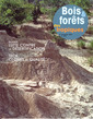 Couverture de l'ouvrage Bois et forêts des tropiques N° 293 3° trimestre 2007 : lutte contre la désertification / Teck, clones de qualité