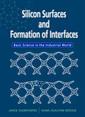 Couverture de l'ouvrage Silicon surfaces & formation of interfaces: microscopic & mesoscopic structures