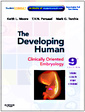 Couverture de l'ouvrage The developing human: clinically oriented embryology with student consult online access (paperback)