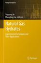 Couverture de l'ouvrage Natural Gas Hydrates